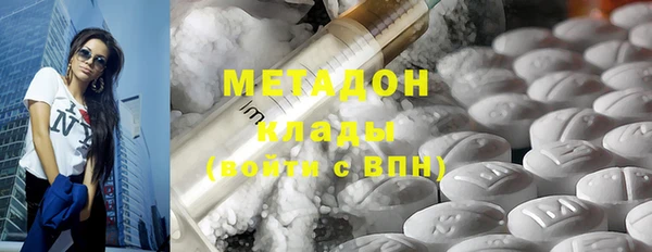 индика Алзамай